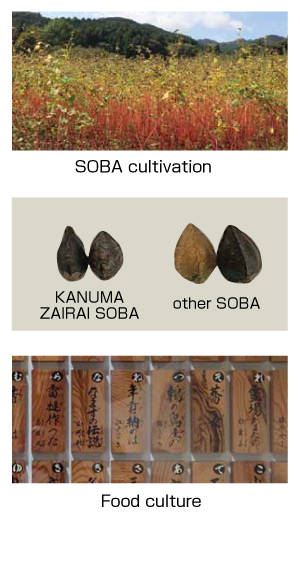 英語説明３