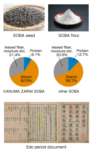 英語説明写真